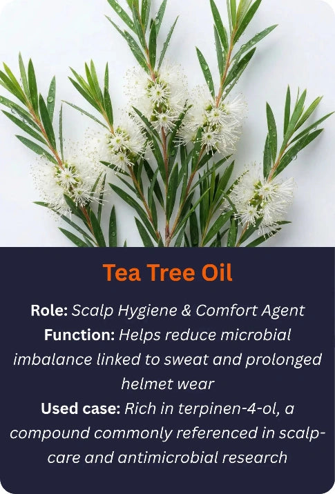 Tea tree oil with text about its role, function, and uses 